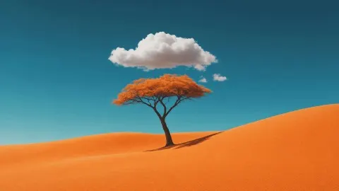 Paper Hills