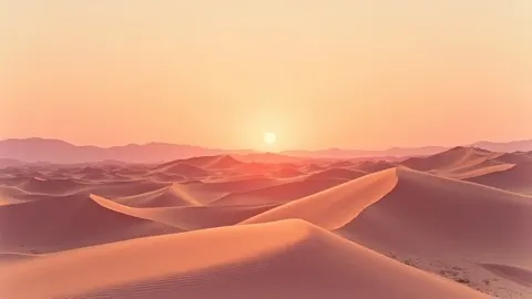 Sunset Dunes